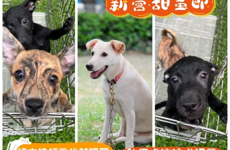 新營甜蜜節「寵叢奇遇記」11月30日南瀛綠都心公園登場