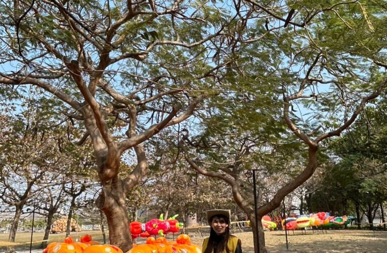 為迎接「2024台灣燈會在臺南」，觀旅局於燈會期間提供華、英語免費導覽服務