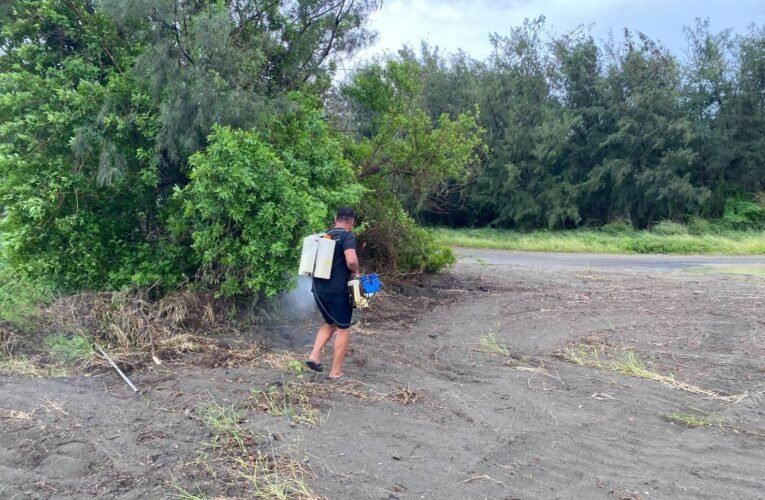 防疫優先  南市加強全運會登革熱防治措施