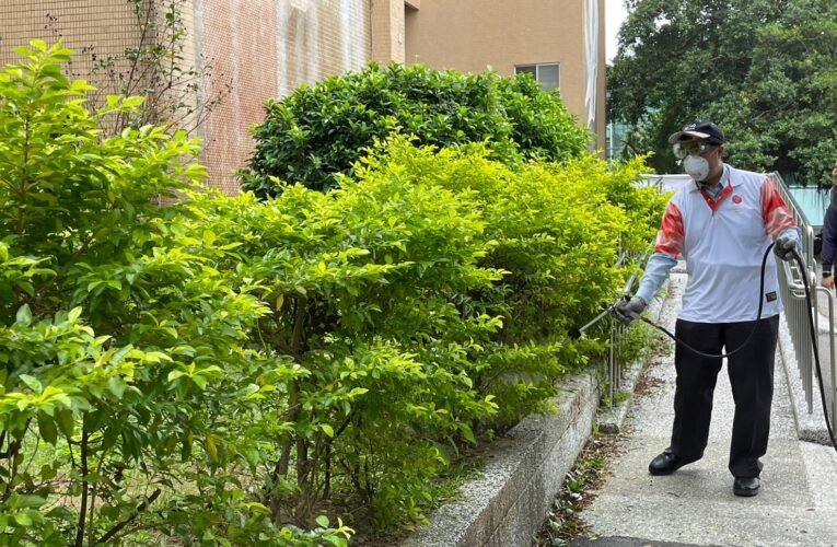 防範登革熱疫情　臺南市政府齊心守護全國運動會選手健康