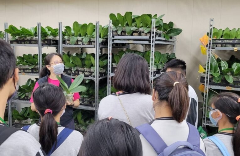 探索未來就業方向  身障學生體驗職場