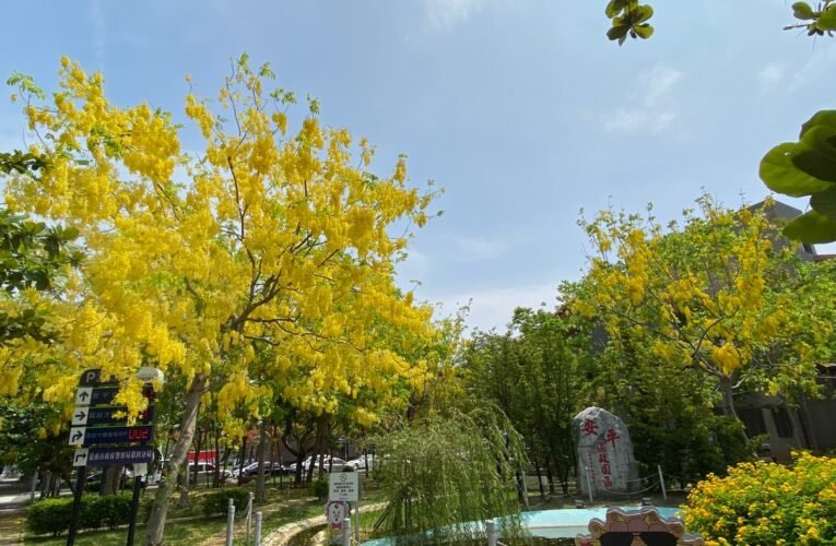 2024臺灣燈會燈火傳承，安平區政園區喜迎劍獅進駐