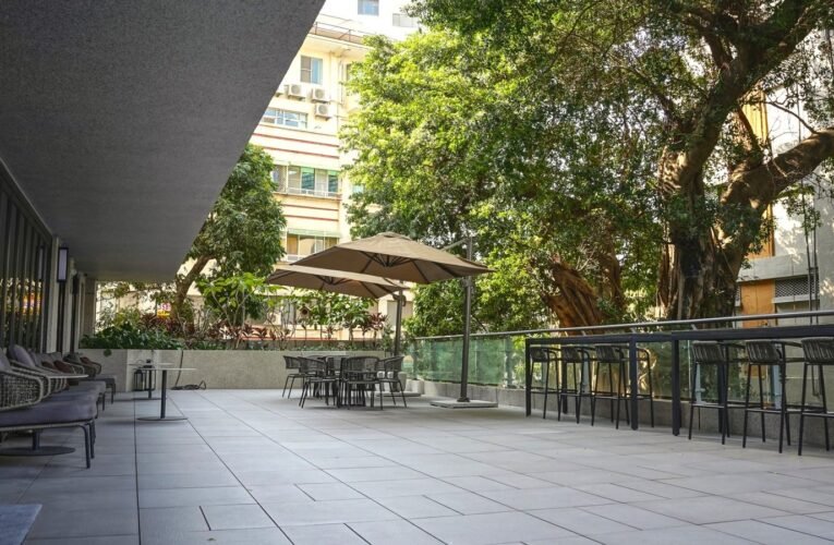 禧榕軒大飯店 百鴦花園餐廳榕情好時光 經典早午餐 新中式X特色小點 全新登場