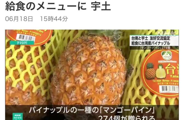 友誼市熊本縣宇土市學童品嘗台南鳳梨 小朋友紛表示：好甜、好好吃！