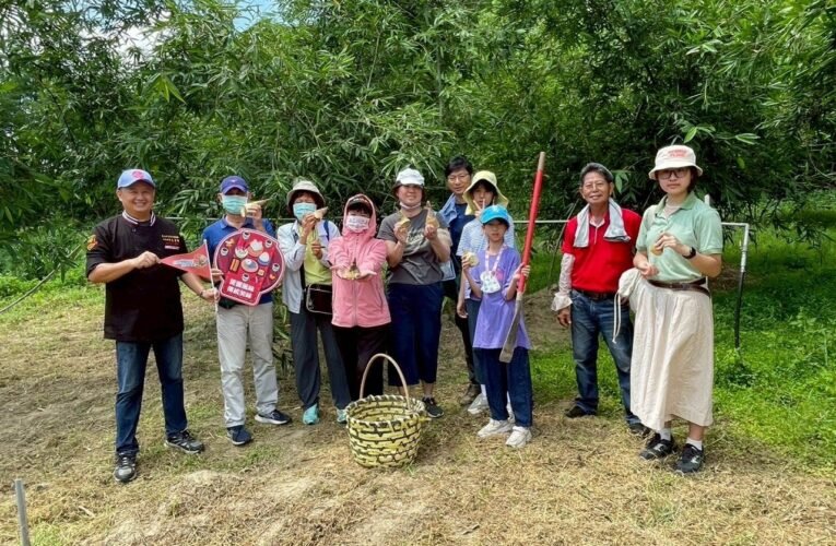 台南雙層巴士盲盒旅遊夏日主題 品味仲夏盛宴文化與土地風味
