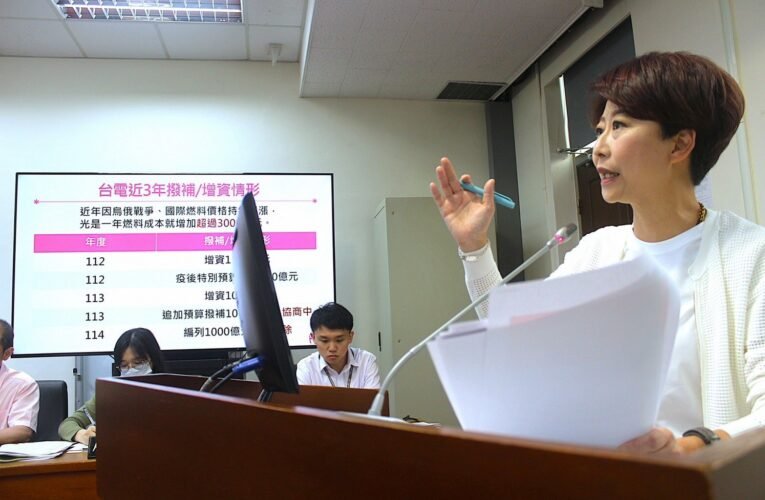 喊話在野黨「台電撥補必須過」　立法委員陳亭妃：鬥爭不應犧牲民生