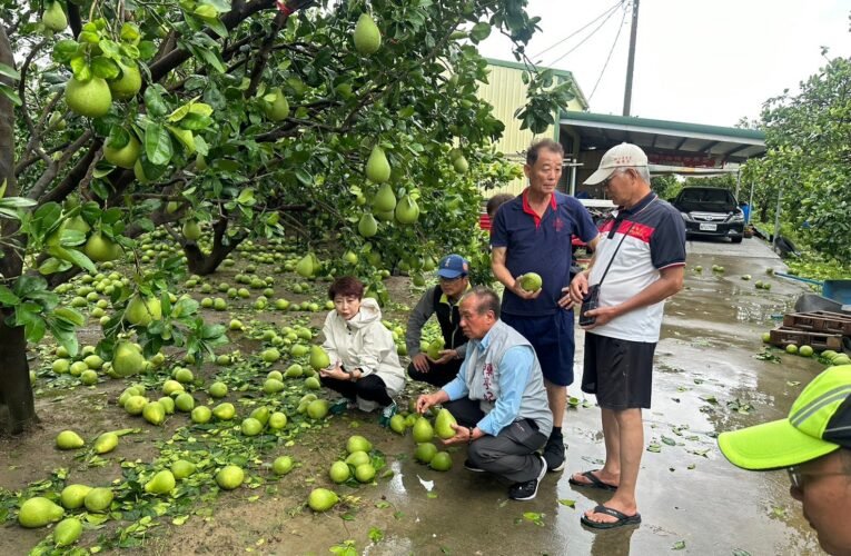台南落果清理迫在眉睫 立法委員陳亭妃建請國軍協助