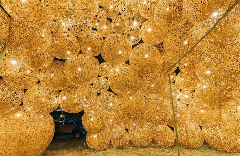 龍喜利來台南春節連假攻略 花燈慶典鳥語花香