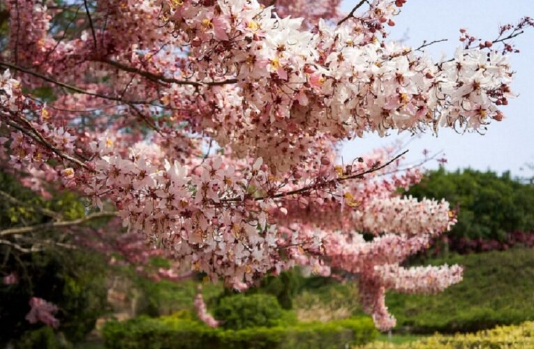 2024春遊臺南！兒童節、清明節4天連假玩不停