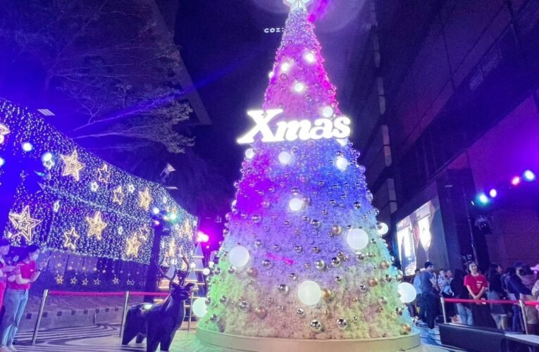 台南最美麗的耶誕裝置《奇幻樂園Fantastic Christmas》吸引萬人朝聖打卡！