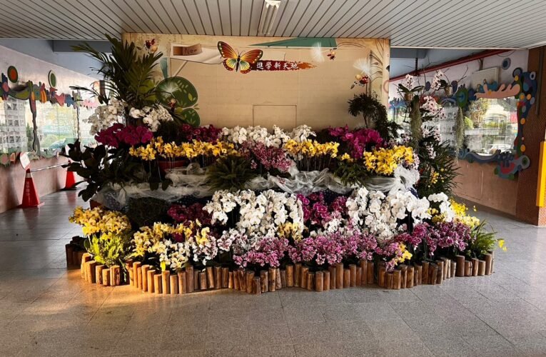 2024臺灣國際蘭展花材妝點14校校園 黃偉哲市長邀請親師生及社區民眾邂逅美麗的蘭花
