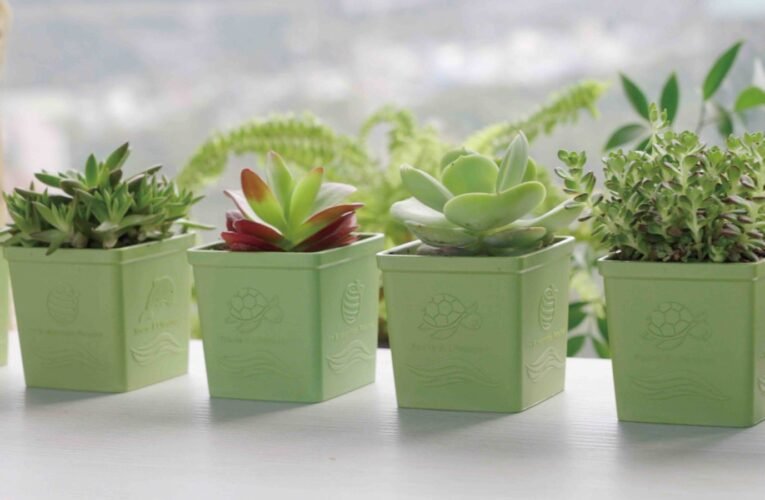 里仁捐贈慈心基金會逾千萬回饋金  推動種樹及淨塑行動 實踐地球公民責任