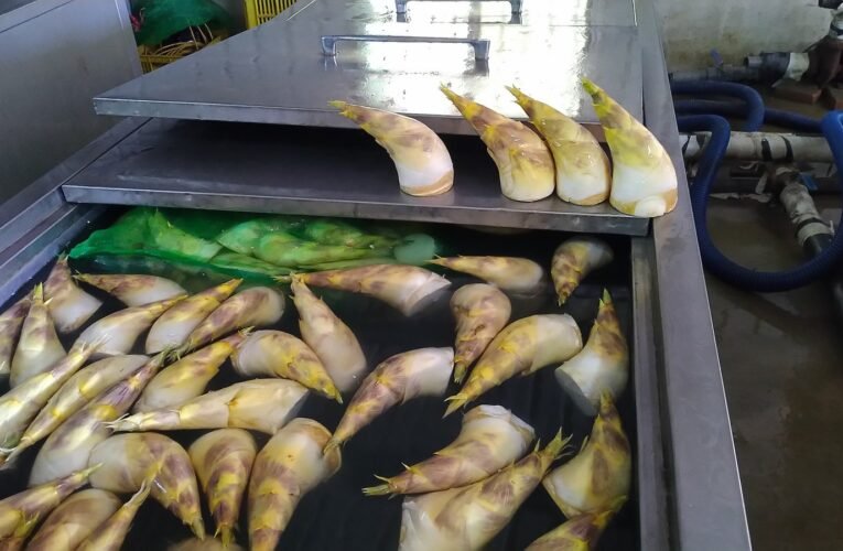 台南山城產銷履歷綠竹筍 鮮嚐美味安全有保障