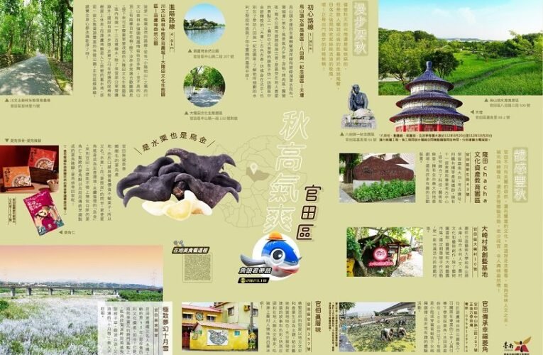 《魚頭君帶路》十月號  漫步菱角田梗間 感受水雉與在地共好的日常
