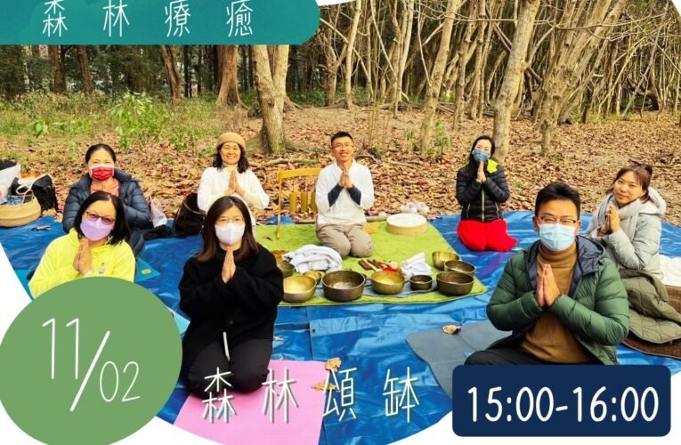 攀樹、療癒、淨島！漁光點點市集邀民眾感受自然共生