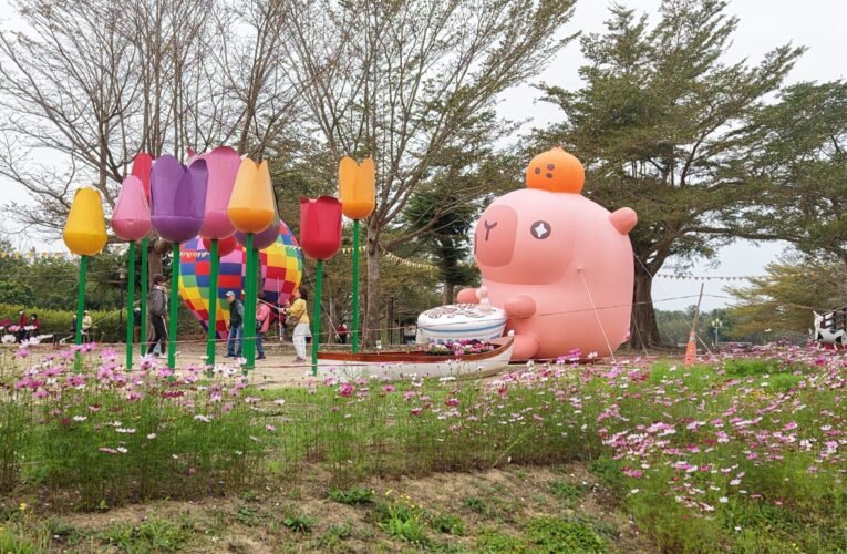 228 連假遊臺南！安平水豚萌寶登場 卡比胖拉小提燈免費送