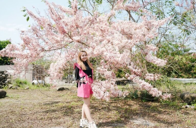 台南「螢光花泉季」將至，漫遊之旅帶你賞花泡湯