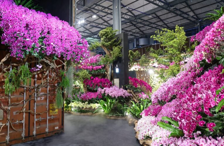 從起源到未來！2026國際蘭展「綻放館」四大展區 演繹台灣蘭花生命進化史