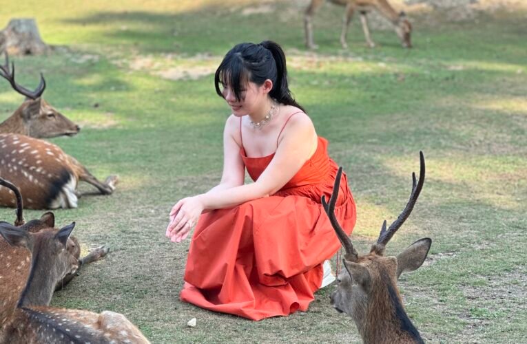 楊寓寧個展：在墨香中感受春天的「割傷」之美