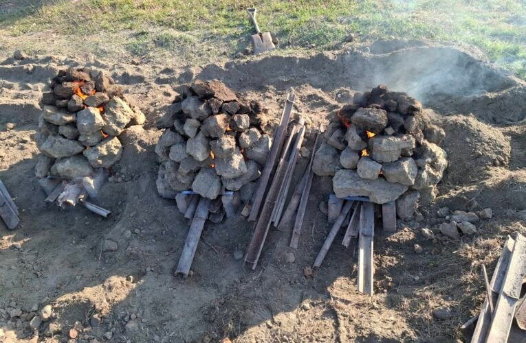 台江國家公園辦「台江古早味」 體驗在地飲食文化