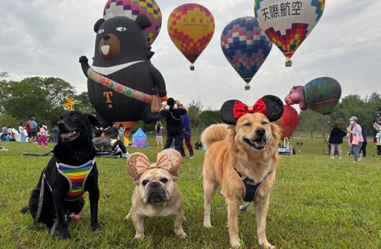 西拉雅森活節熱氣球光雕秀週六夜閃耀！交管資訊、免費接駁攻略看這裡