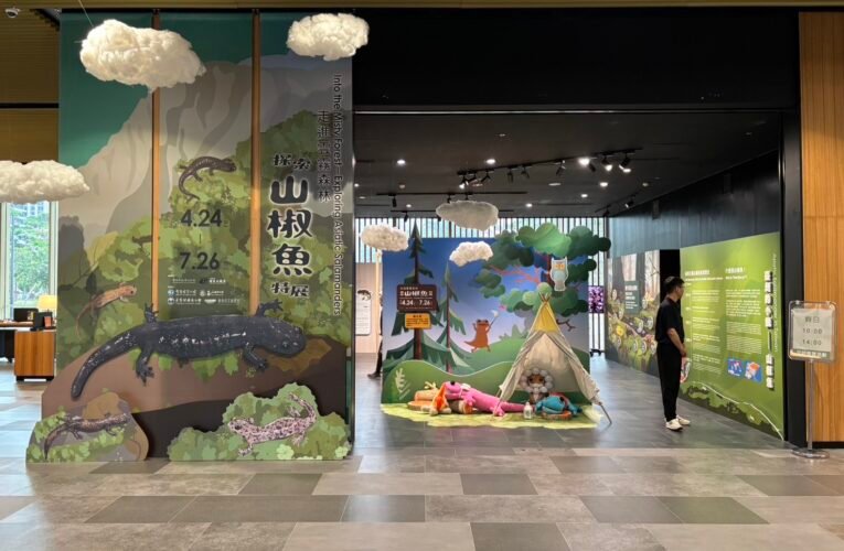 南市圖「山椒魚特展」開展 探索高山珍稀物種