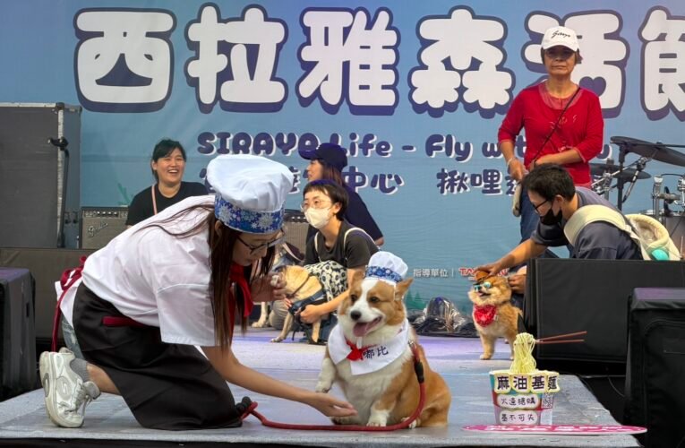 西拉雅森活節掀春遊熱潮結合音樂與萌寵經濟　