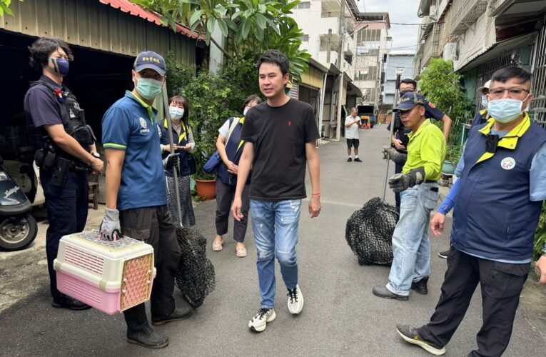 永康虐貓案最後一隻虎斑貓尋獲 六犬貓全數安置動物之家