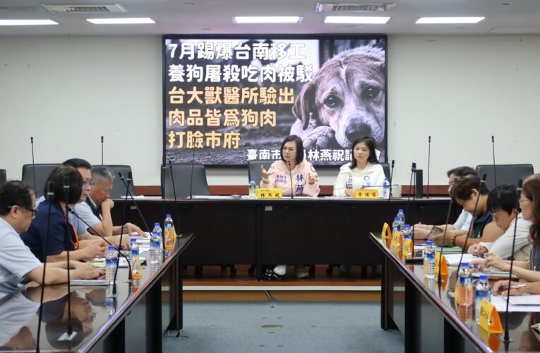 安南移工宿舍疑驗出犬隻組織　林燕祝質疑通報延誤要求市府說明